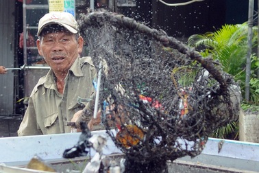 Người thương binh mỗi ngày vớt hàng trăm kg rác "giải cứu" dòng kênh
