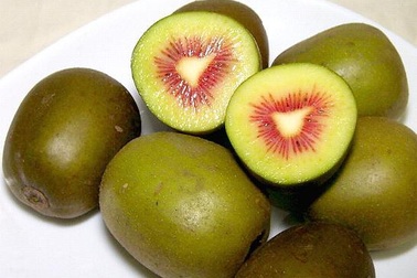 Xôn xao Kiwi cầu vồng: Tết cổ truyền giải ngán kiểu Nhật