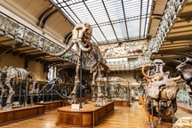 Loạt bảo tàng Pháp liên tiếp bị đánh cắp hiện vật hàng triệu USD