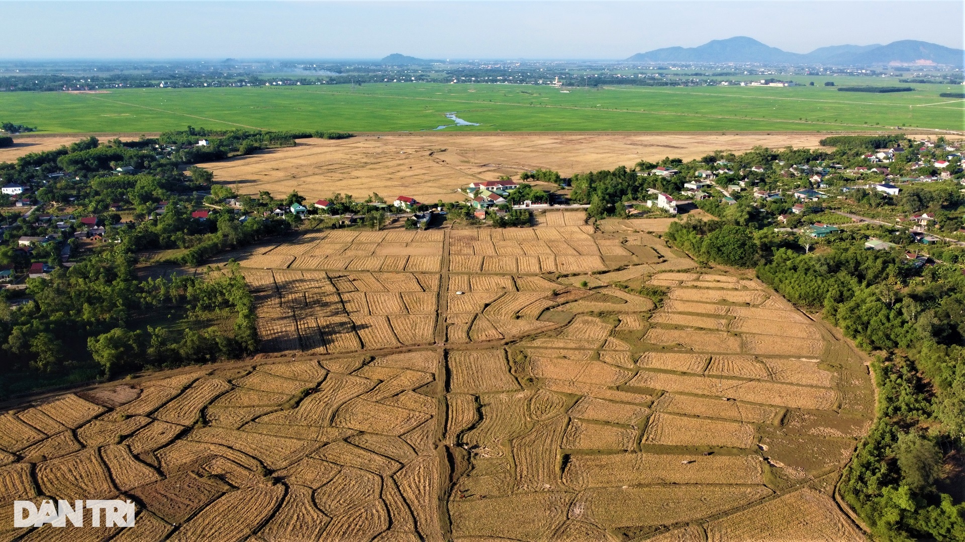 Cách nhau một con kênh, bên này lúa xanh tốt, bên kia ruộng đồng khô hạn - 1 Cách nhau một con kênh, bên này lúa xanh tốt, bên kia ruộng đồng khô hạn - 1