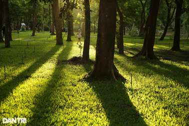 Những không gian xanh tuyệt đẹp của Thủ đô