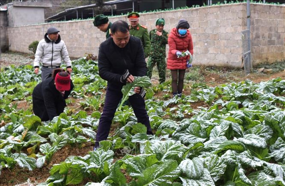 Băng tuyết phủ trắng Cao nguyên đá Đồng Văn - 7 Băng tuyết phủ trắng Cao nguyên đá Đồng Văn - 7