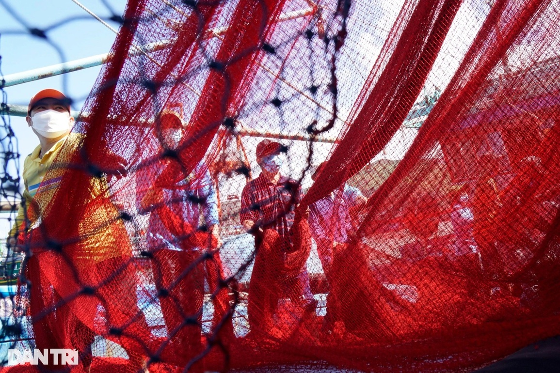 Bỏ Tết, ngư dân Bình Định vươn khơi săn lộc biển - 11 Bỏ Tết, ngư dân Bình Định vươn khơi săn lộc biển - 11