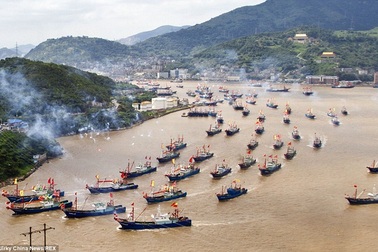 7 tàu Trung Quốc bị bắt vì đánh bắt trái phép tại Tây Phi