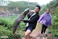 Săn cá dài cả mét dưới miệng cửa tràn xả lũ hồ Kẻ Gỗ