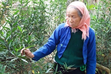 Một sản phụ gặp biến chứng vì phá thai bằng que   