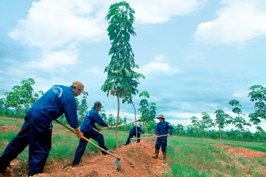 Bầu Đức từng từ chối thu nợ 19 triệu USD bằng gỗ Lào?