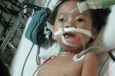 Bé Phùng Thanh Trà My đã ra đi mãi mãi