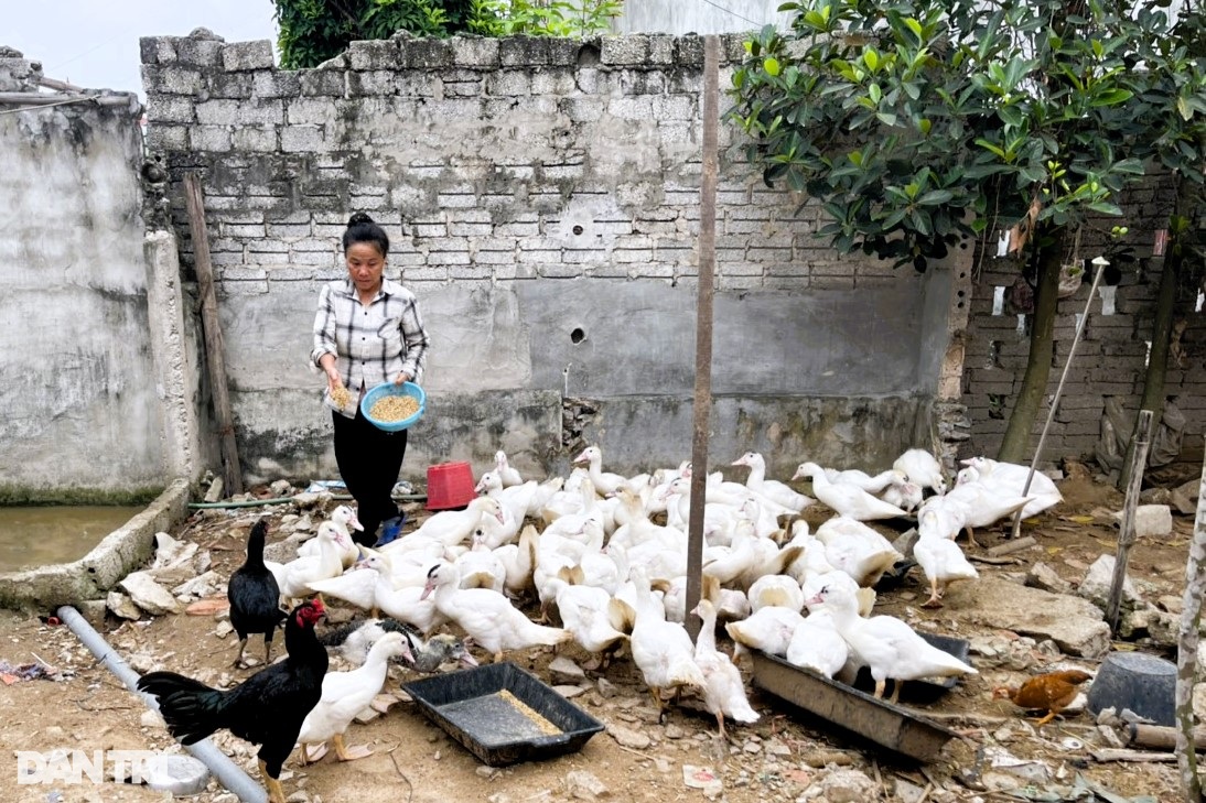 Số phận khốn khổ của người phụ nữ và bé trai bị bỏ rơi ở bìa rừng - 5 Số phận khốn khổ của người phụ nữ và bé trai bị bỏ rơi ở bìa rừng - 5