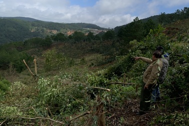 Nguyên Giám đốc Sở NN- PTNT bị khởi tố vì vi phạm quản lý rừng