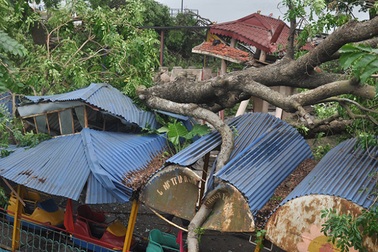 5 tháng đầu năm 2016, mất trắng gần 10.000 tỷ đồng vì thiên tai