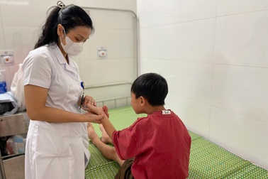 Bé trai 7 tuổi bị sán dây chuột chui vào người