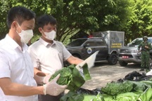 Thủ tướng khen chiến công phá các chuyên án lớn, thu giữ hơn 530kg ma túy