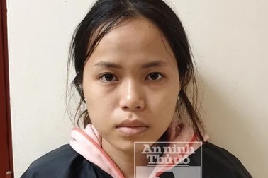 Hà Nội: Triệt phá đường dây buôn bán trẻ sơ sinh xuyên quốc gia