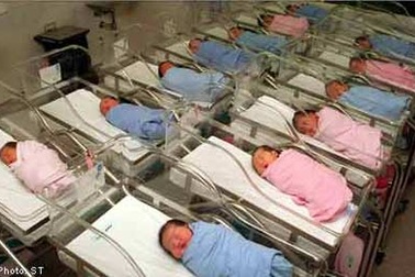 Không phải tất cả trẻ em sinh năm Rồng đều thành công!