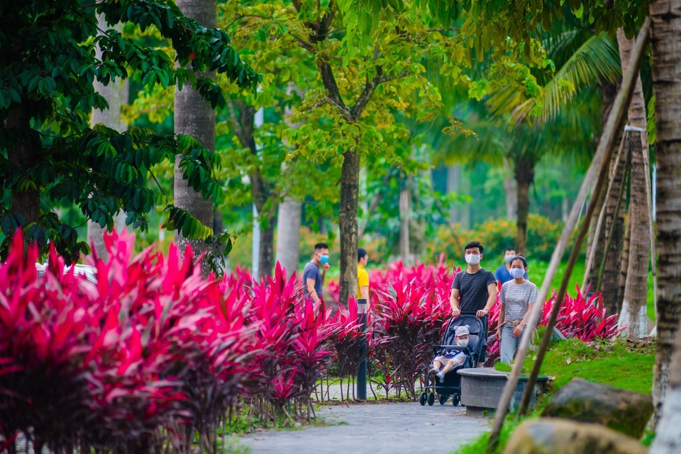 Loạt điểm dã ngoại tuyệt đẹp dịp Tết Dương lịch tại Ecopark - 9 Loạt điểm dã ngoại tuyệt đẹp dịp Tết Dương lịch tại Ecopark - 9