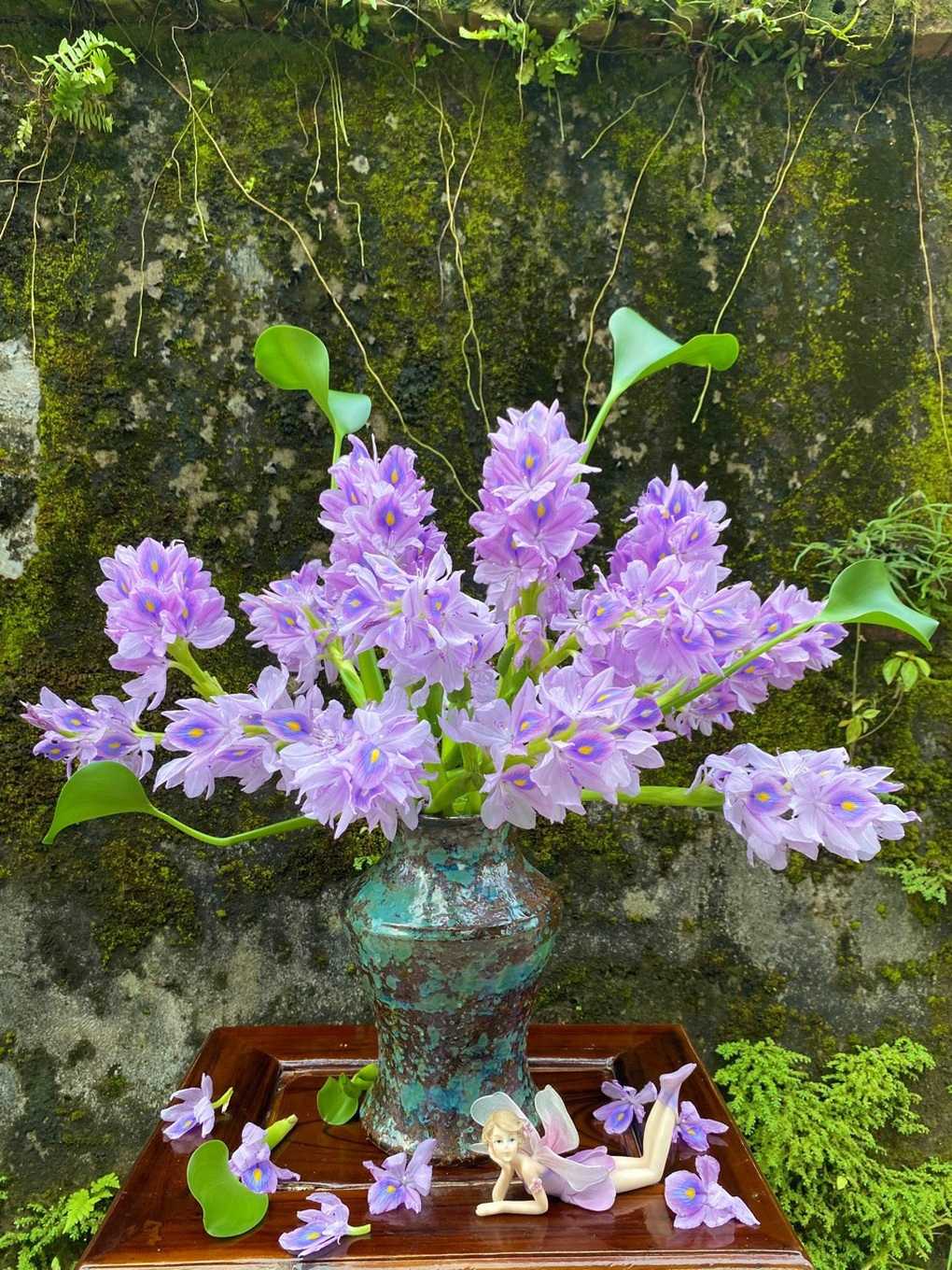 Độc đáo bình na tím hơn một năm chờ đợi của người phụ nữ Hà Nội - 9