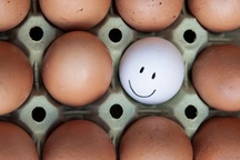 9 loại nhân viên và cách quản lý hiệu quả