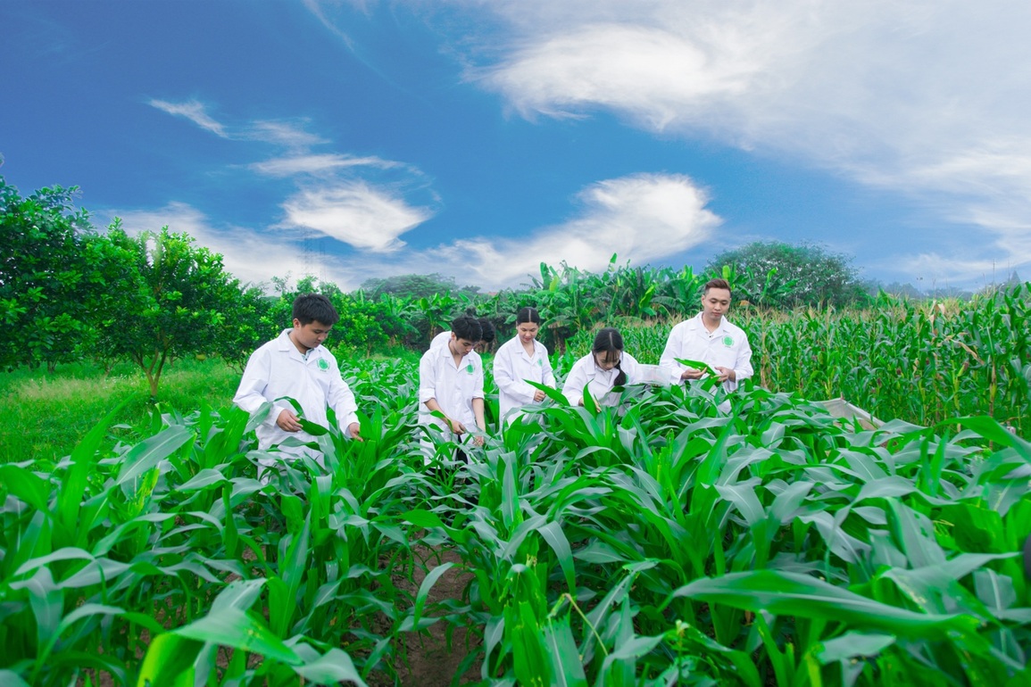Học viện Nông nghiệp Việt Nam - nơi ươm mầm nông nghiệp thông minh - 3 Học viện Nông nghiệp Việt Nam - nơi ươm mầm nông nghiệp thông minh - 3