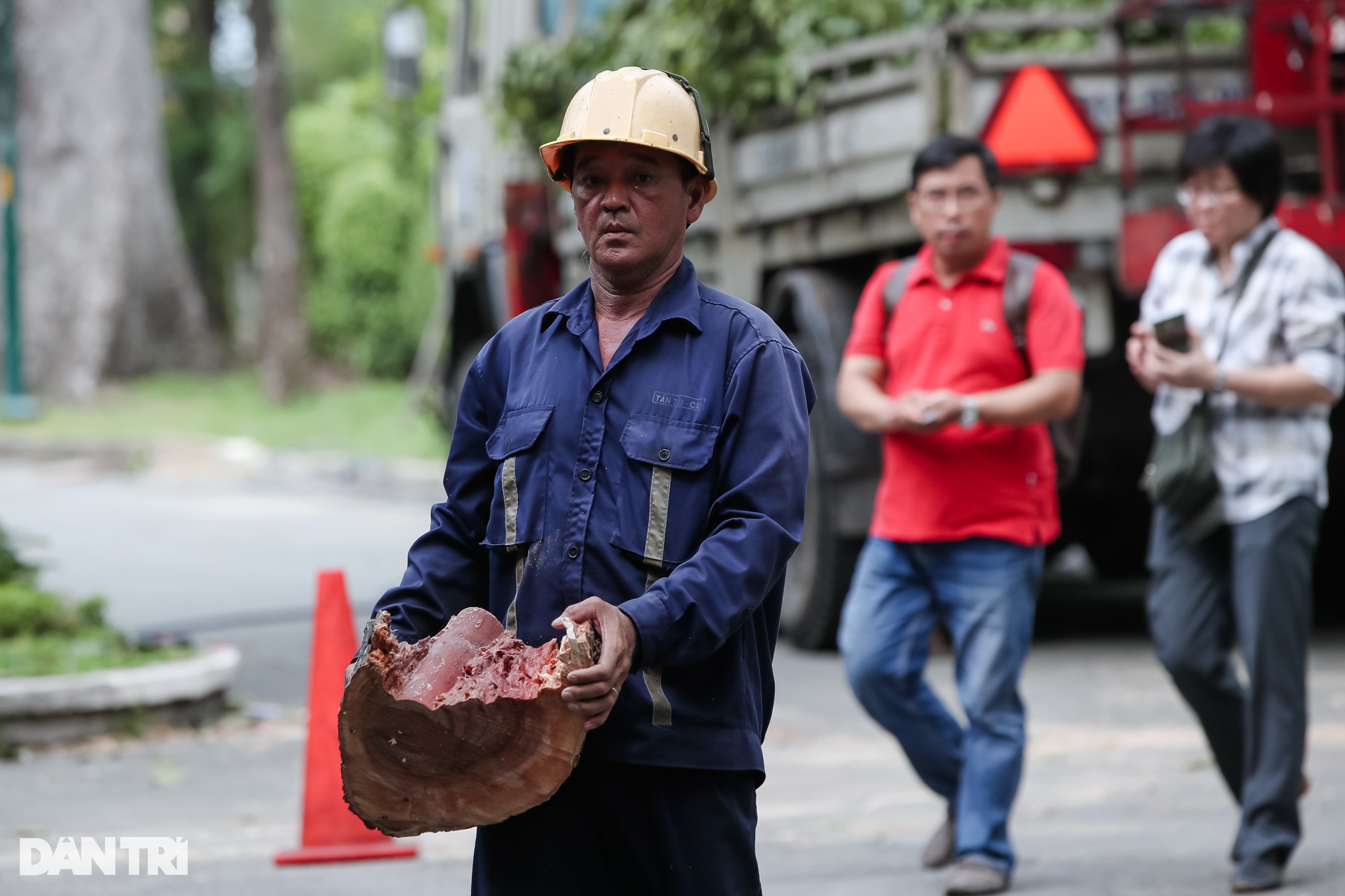 Công viên Tao Đàn nơi xảy ra vụ tai nạn làm 2 người chết có nhiều cổ thụ - 5