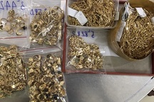 Bất ngờ vụ bán 230 lượng vàng: Lấy trộm của chủ trong 6 năm liền