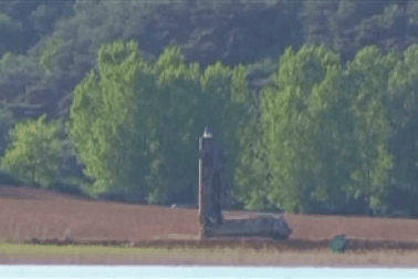 Triều Tiên công bố video thử tên lửa có khả năng tấn công tàu sân bay