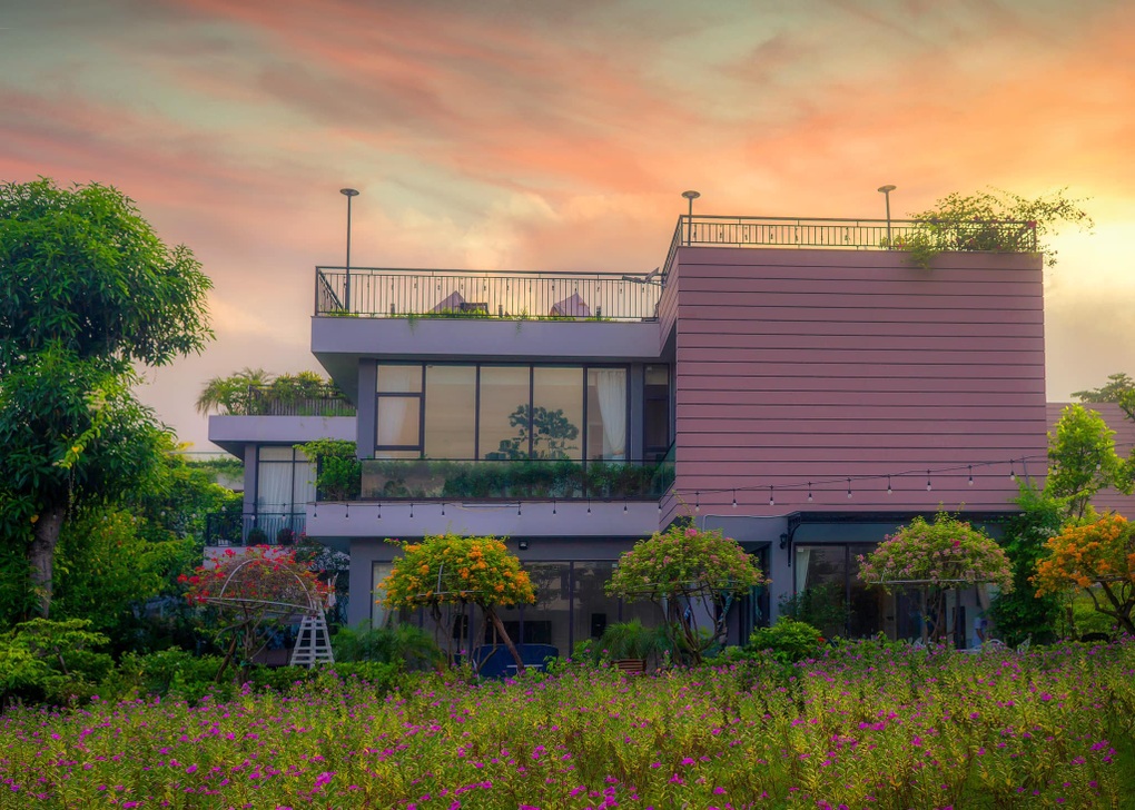 Nhà vườn 600m2 Nhà vườn 600m2