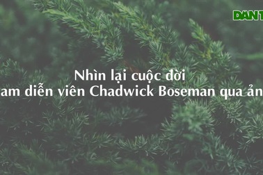 Tài tử “Báo Đen” đã sống chặng cuối cuộc đời với tinh thần chiến binh
