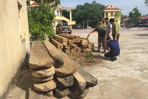 Đối tượng chở gỗ lậu tấn công kiểm lâm viên khi bị truy bắt