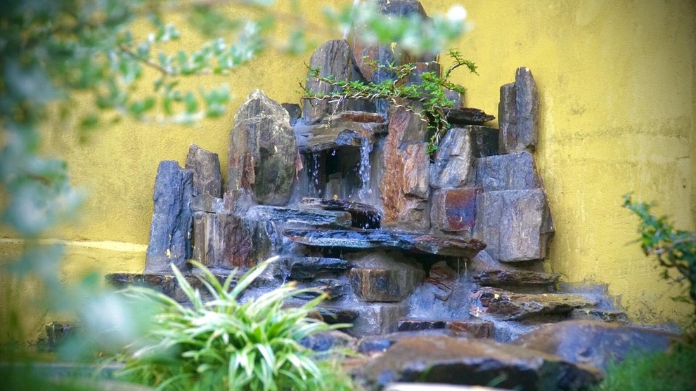 Chàng trai Đà Nẵng tự làm nhà vườn đẹp như homestay với vườn xanh, hồ cá - 3 Chàng trai Đà Nẵng tự làm nhà vườn đẹp như homestay với vườn xanh, hồ cá - 3