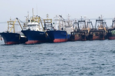 Cận cảnh đội tàu sắp mua của đại gia Sài Gòn