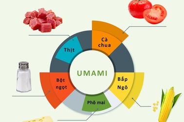 “Umami”- Vị cơ bản thứ năm trong ẩm thực