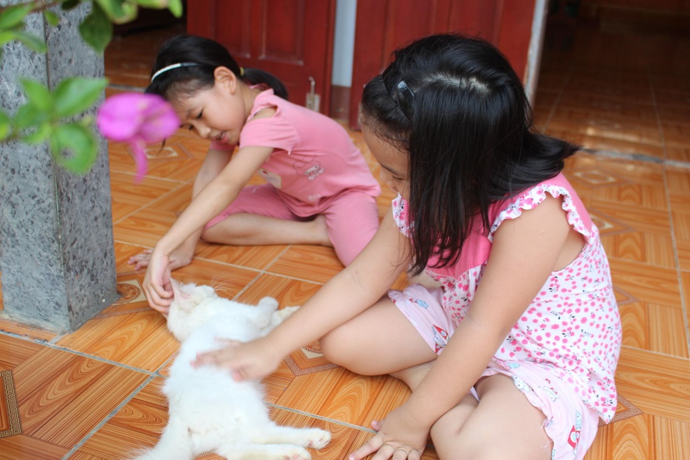 Nuôi con thời giãn cách: Lo sốt vó con bị thừa cân, ảnh hưởng mắt - 2 Nuôi con thời giãn cách: Lo sốt vó con bị thừa cân, ảnh hưởng mắt - 2