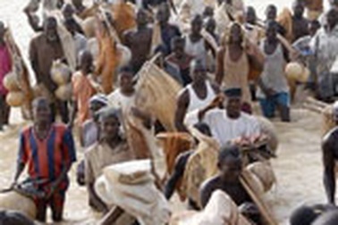 Xem lễ hội bắt cá độc đáo ở Nigeria