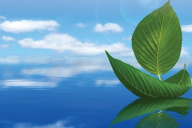 Chương Trình Học Bổng Phổ Thông Trung Học Mỹ ASSIST 2016-2017