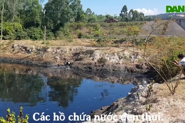 Hồ tôm xả nước thải đen ngòm.