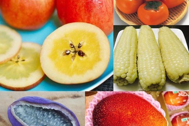 Những loại quả mọc dại, bán đắt "cắt cổ" gấp 50 lần, dân Việt vẫn tranh nhau mua