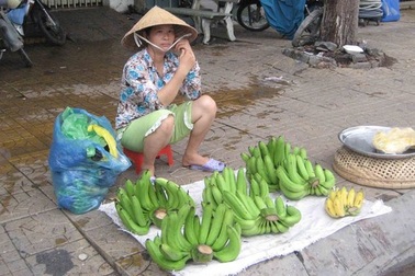 Chuối càng to… càng ế!