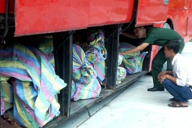 Bắt xe ôtô mang biển kiểm soát Campuchia vận chuyển hơn 3 tấn  gỗ trắc