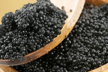 Trứng cá tầm tiền tỷ: Giấc mộng bá chủ “vàng đen”