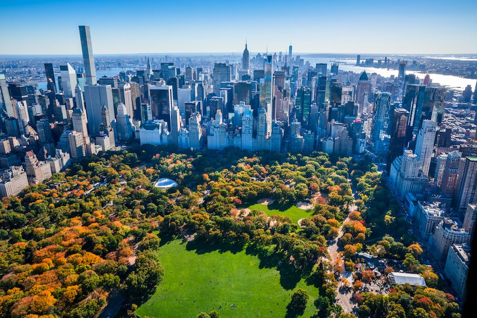 Lợi thế đắt giá khi sở hữu Fidel Central Park Quảng Trị - 1 Lợi thế đắt giá khi sở hữu Fidel Central Park Quảng Trị - 1
