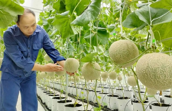 Phát triển sản xuất thành chuỗi để nâng cao giá trị.