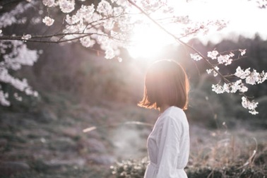 Đường về quê ăn Tết