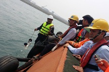 Thủ tướng yêu cầu báo cáo việc cấp phép, giám sát xả thải của Formosa