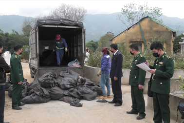 Tiêu hủy hơn 1,5 tấn tai lợn không rõ nguồn gốc ở Lào Cai