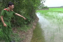 Tạm giữ người giăng bẫy điện khiến 2 anh em thương vong