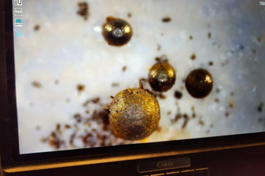 Tìm thấy bằng chứng về sự sống ngoài Trái Đất dưới đáy đại dương?