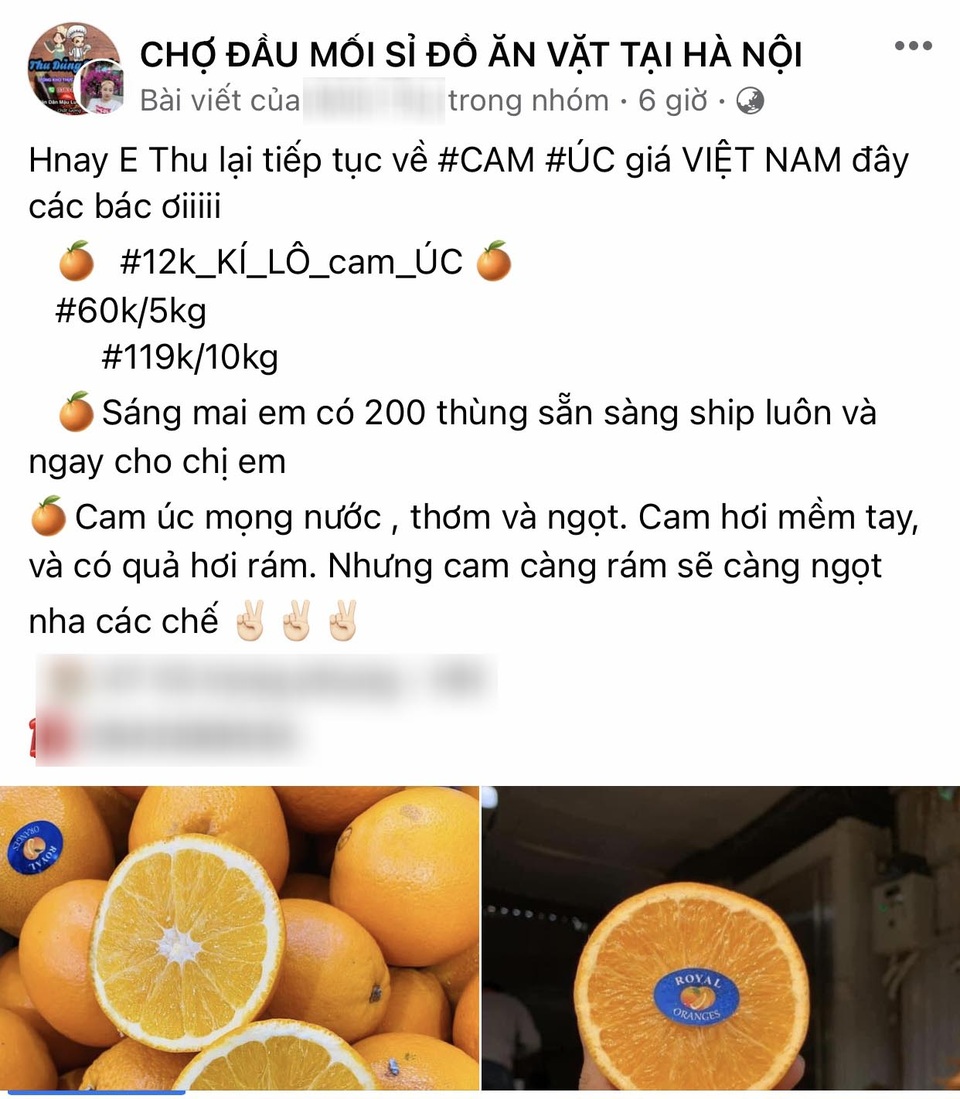 Cam Úc giá siêu rẻ bán dọc vỉa hè, tiểu thương tiết lộ sự thật - 2 Cam Úc giá siêu rẻ bán dọc vỉa hè, tiểu thương tiết lộ sự thật - 2