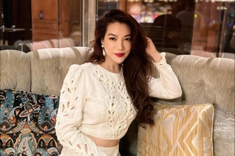 Tội danh diễn viên Trương Ngọc Ánh bị khởi tố có mức án đến 20 năm tù