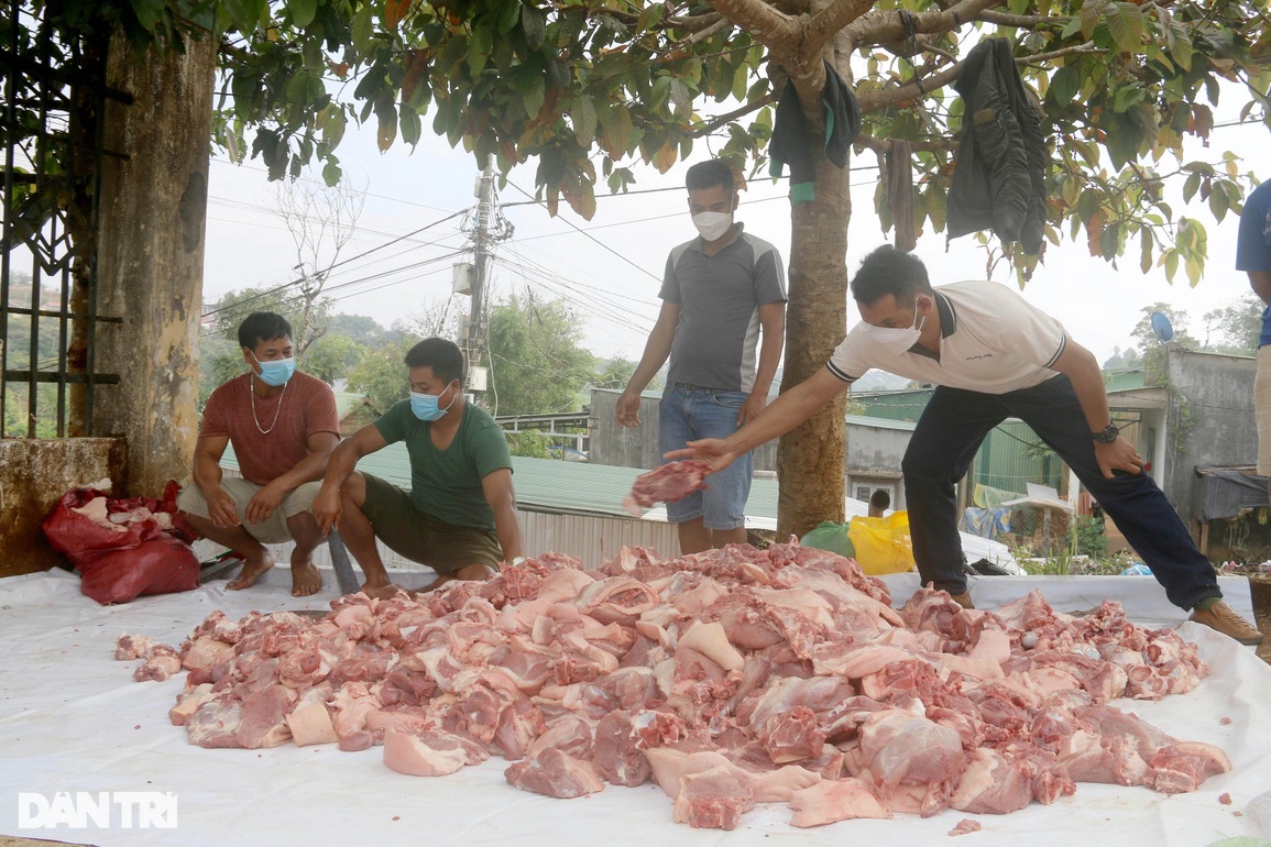 Huyện miền núi chi 1 tỷ đồng mua heo, mổ thịt tặng người khó khăn - 2 Huyện miền núi chi 1 tỷ đồng mua heo, mổ thịt tặng người khó khăn - 2
